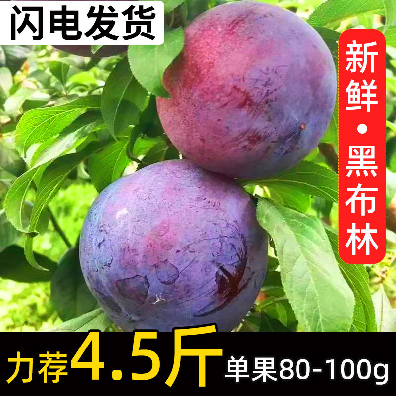 新鲜黑布林国产水果应当季整箱