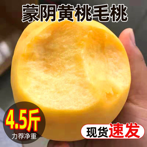 正宗山东蒙阴黄桃毛桃原产地现摘