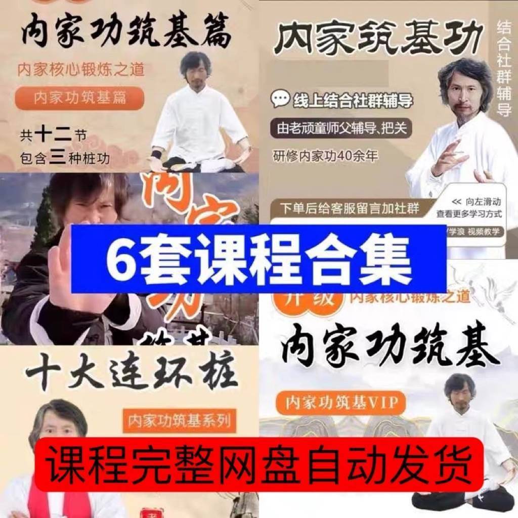 霹雳手老顽童内家功筑基锻炼功强壮十大连环桩站桩电子全套教程 办公设备/耗材/相关服务 刻录盘个性化服务 原图主图