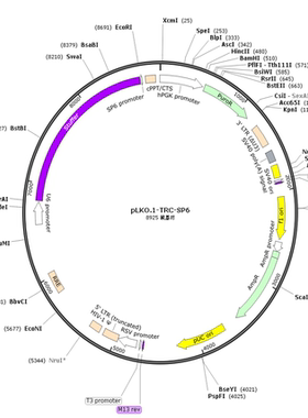 pLKO.1-TRC-SP6