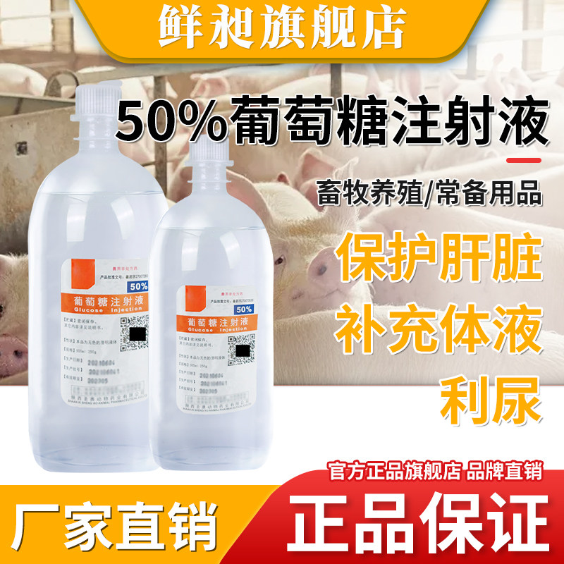 兽用50%葡萄糖注射液口服用马牛羊猪犬补能量水低血糖利尿兽药
