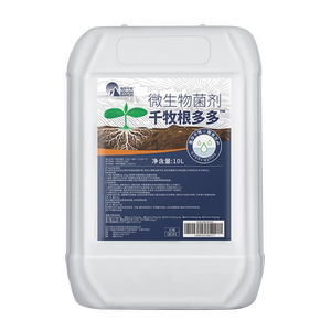 根多多快速生根剂壮苗发根营养液果树蔬菜移栽微生物菌剂生根液