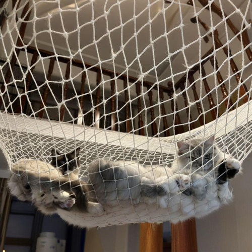 猫咪防坠楼别墅复式loft公寓多转楼梯养猫防摔防跳楼梯神器安全网