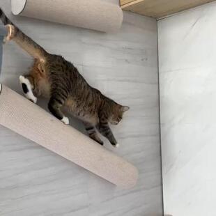 猫咪攀爬架耐磨耐抓自嗨解闷猫跳台贴墙自粘猫抓柱保护沙发猫玩具