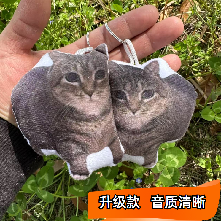猫表情包语音挂件小猫