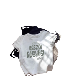 好看到逆天~美式高街正肩上衣女设计感百搭小众印花纯棉短袖t恤潮