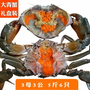 东山岛青蟹鲜活特大超大螃蟹5斤3母3公豪华版礼盒装海鲜水产膏蟹