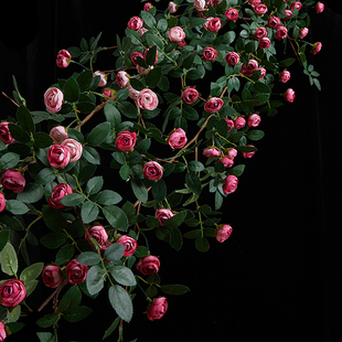 仿真玫瑰花藤假花藤条空调栅栏吊花装 饰藤蔓管子塑料高档墙面遮挡