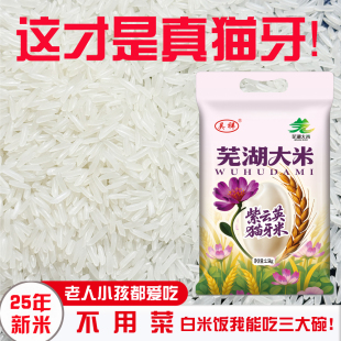 紫云英猫牙米香米5斤10斤当季新米南方籼米煲仔饭炒饭南陵大米