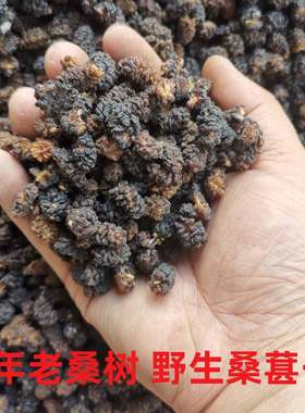 野生干白无添加泡酒即食桑葚子