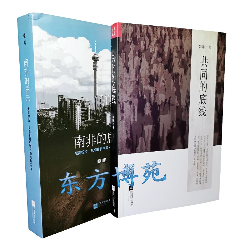 共同的底线(新版)+南非的启示2020版：曼德拉传·从南非看中国·新南非十九年 套装共2册 秦晖属于什么档次？