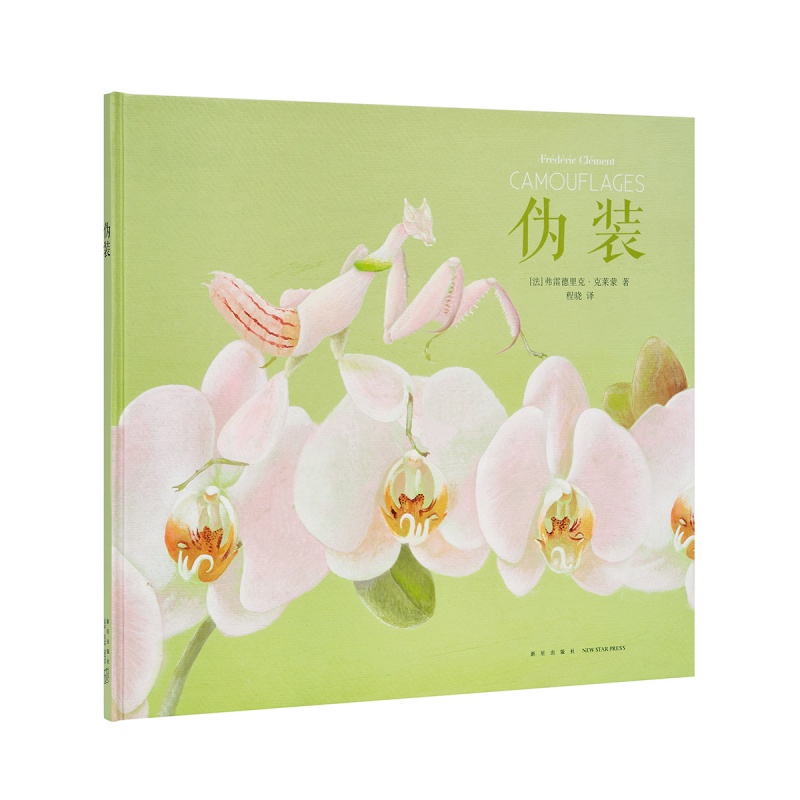 《伪装》化身花朵、树叶和石头的动物魔法 读小库 7-9岁 诗意记录