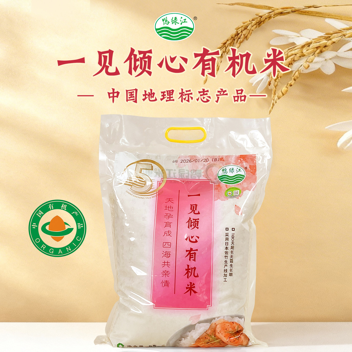 鸭绿江一见倾心有机米5kg软糯香甜料理饭团家庭装优质大米十斤装