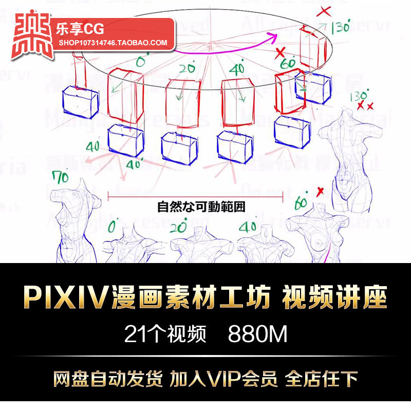 pixiv漫画素材工房形体结构视频解析技法 手绘美术临摹参考素材