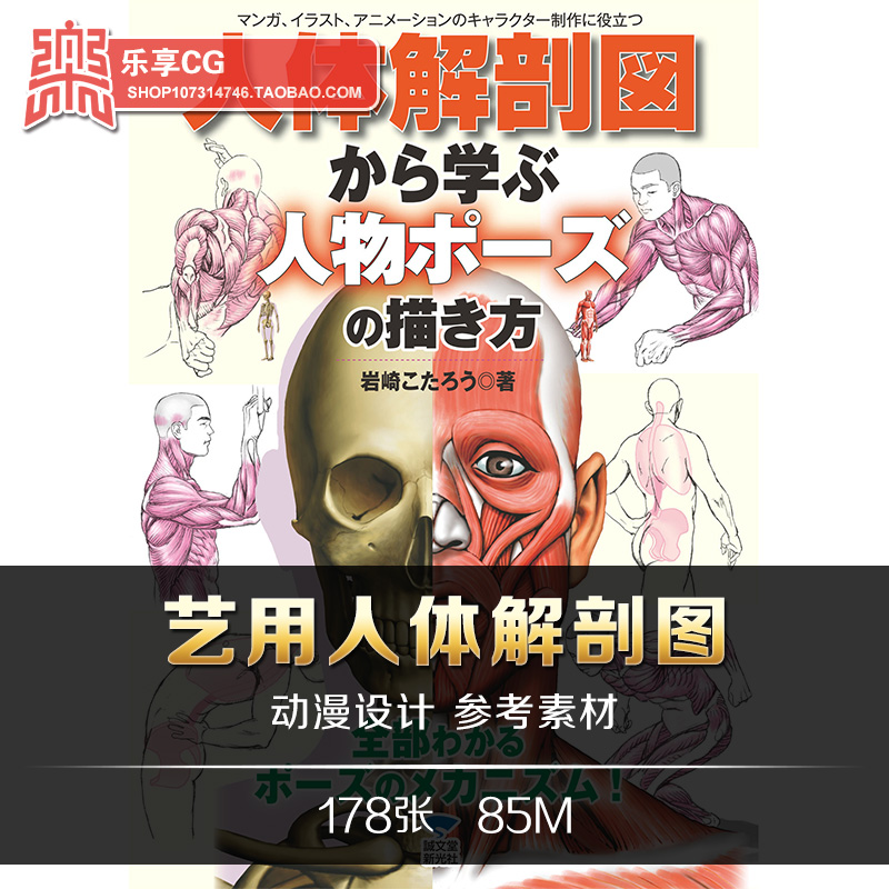 动漫身体构造参考资料素材人体解剖図から学ぶ人物ポーズの描き方