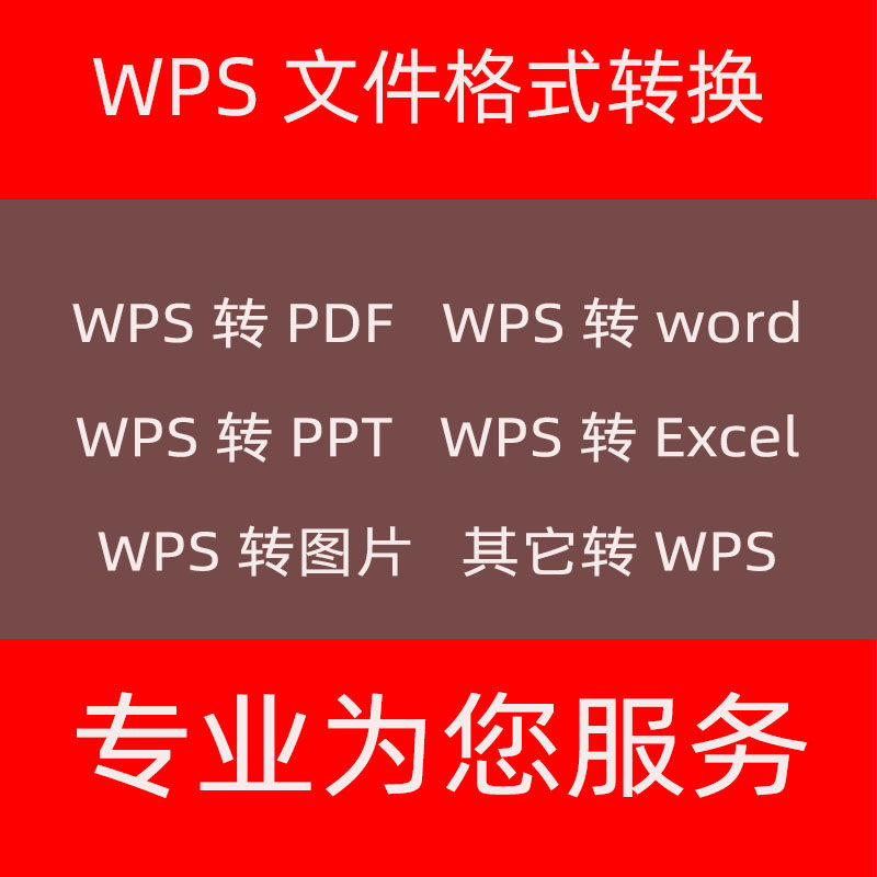 WPS dwg转PDF/Word/Excel/PPT图片人工caj转word文件格式转换服务