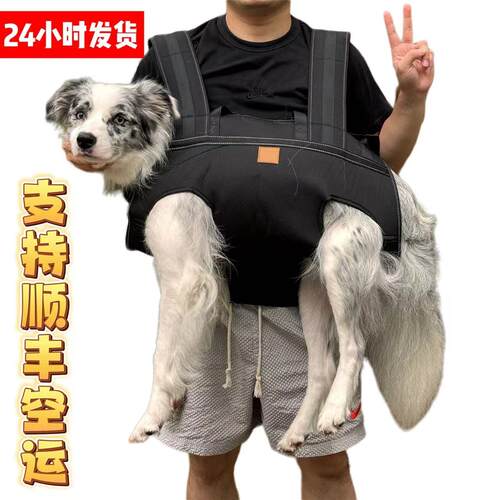 宠物狗狗小中大型犬骑行双肩背包