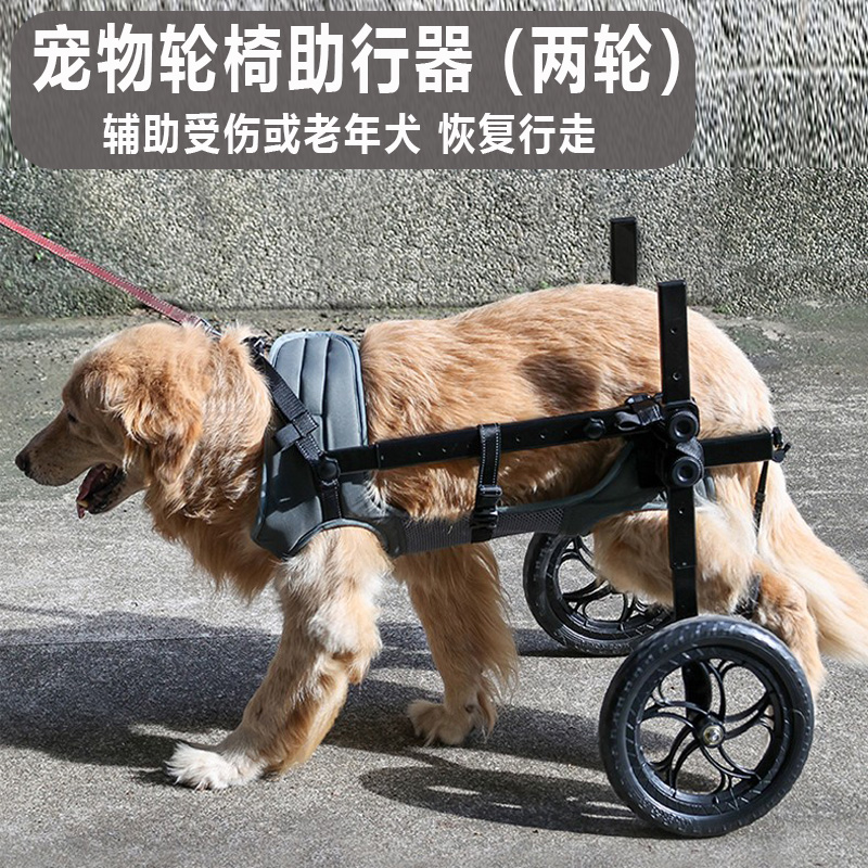 宠物轮椅助力大型犬金毛行走代步