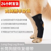 宠物狗狗护肘辅助绑带老年犬膝关节套防舔矫正固定助行运动保护具