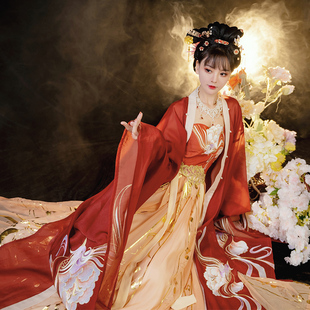 秋季 如梦霓裳汉服女唐制诃子裙大袖 衫 中国风非古装 洛月现货 日常款