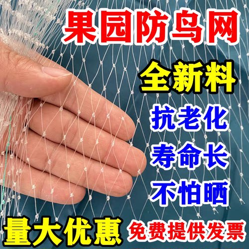 防鸟网草莓大棚果树樱桃葡萄梨树果园防鸟用网尼龙养殖网鱼塘天网