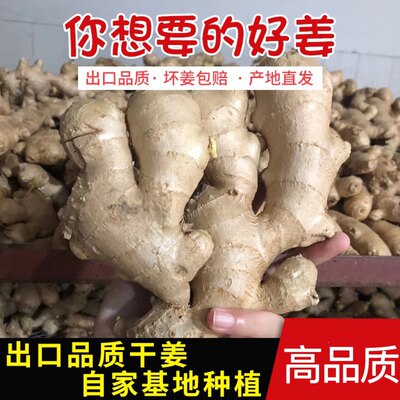 新鲜出口高品质自有基地热销生姜