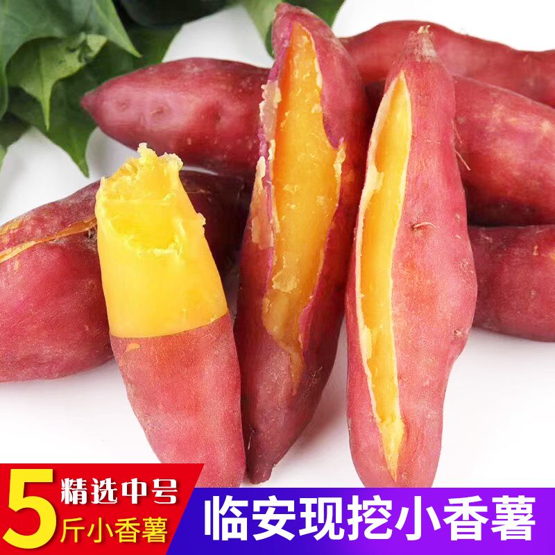 [SF delivery]Medium 5 Linan Mount sweet potato Sweet potato fresh Purple sweet potato Sweet potatoin the Aquatic meat/Fresh fruits and vegetables/Cooked , Fresh vegetables/Vegetable products , Fresh vegetables , Sweet potato  category - from Buy2taobao.com to provide professional Taobao agent buy service
