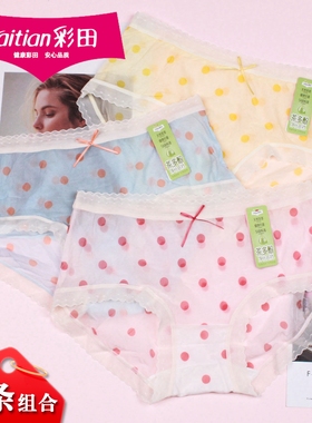 3条组合彩田女士轻薄蕾丝边丝袜内裤32638网纱速干透气短裤32639
