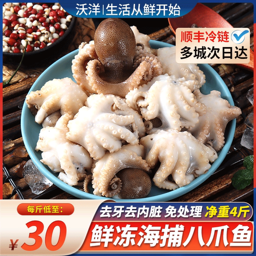 八爪鱼新鲜冷冻八带短腿小章鱼