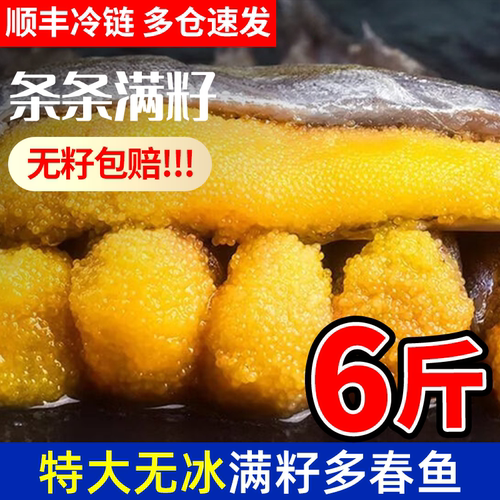 多春鱼满籽特大全籽新鲜急冻