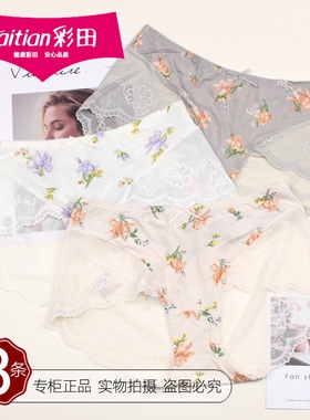 三条价彩田夏薄舒适轻奢蕾丝内裤32631女士亲肤速干冰丝短裤32632