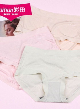 彩田舒适莫代尔棉字母女士内裤32697高弹柔软透气无痕边短裤32698