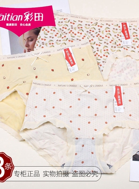 三条价彩田少女莫代尔棉中腰内裤15802舒适蕾丝花边高腰短裤15803