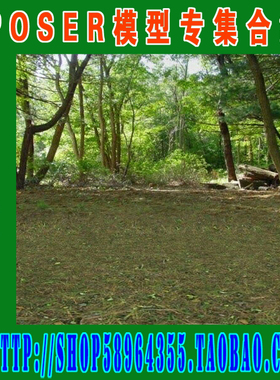 Poser模型场景——Multiplane_Cyclorama环境 旋风 背景(3M-260)