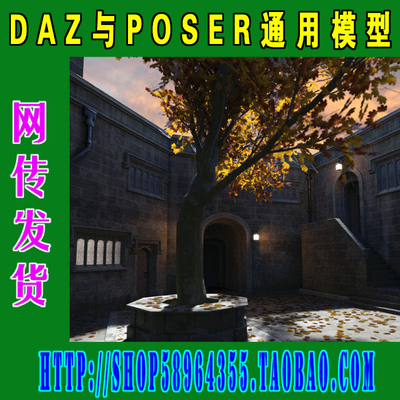 DAZ与Poser模型—— Medieval Courtyard中世纪庭院(3M-278)