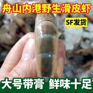 舟山海鲜青壳滑皮虾剑虾海捕新鲜大虾野生鲜活冷冻海虾条虾顺丰发