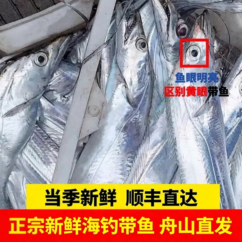 野生海钓带鱼新鲜整条特大无冰小带鱼