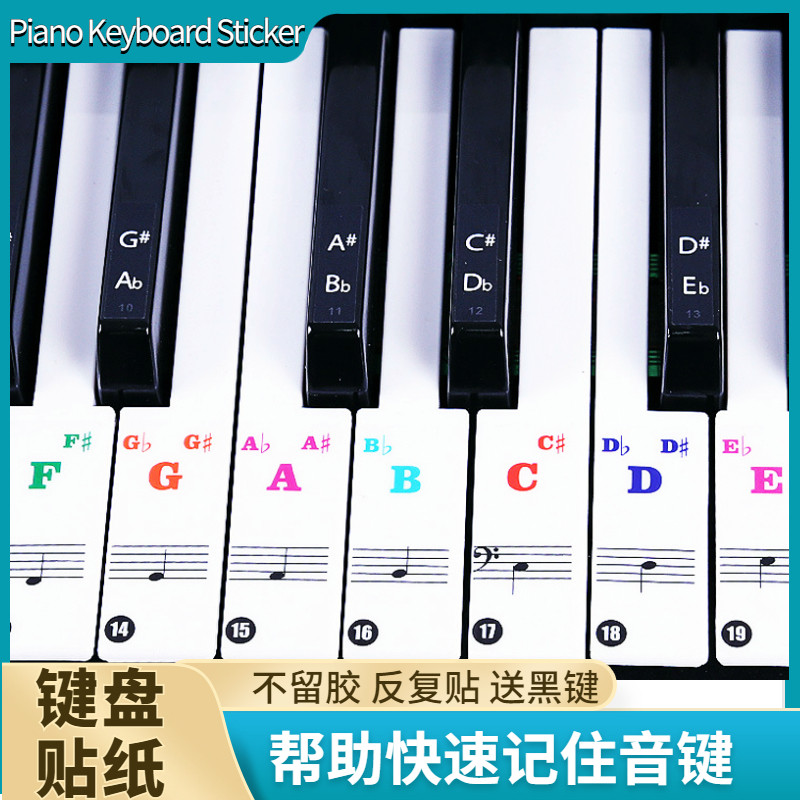 键盘贴纸88/61/54/49键钢琴键盘贴纸电子琴贴五线谱键盘手卷音准
