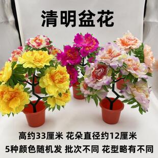 清明盆花奠仪花五七花花圈手捧花坟前摆放花碑花墓花殡葬用品