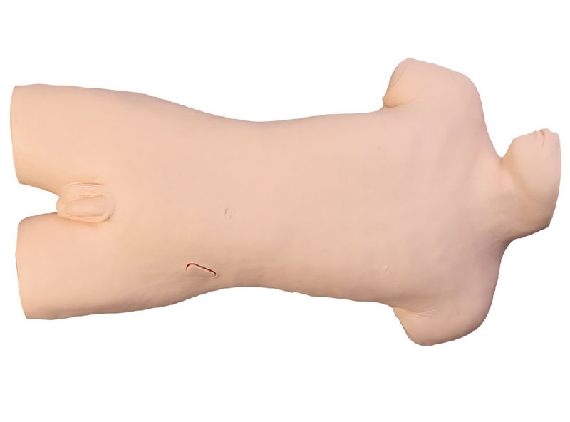 Eletripod 腹部移动性浊叩诊与腹腔穿刺训练模型 ET/CK813