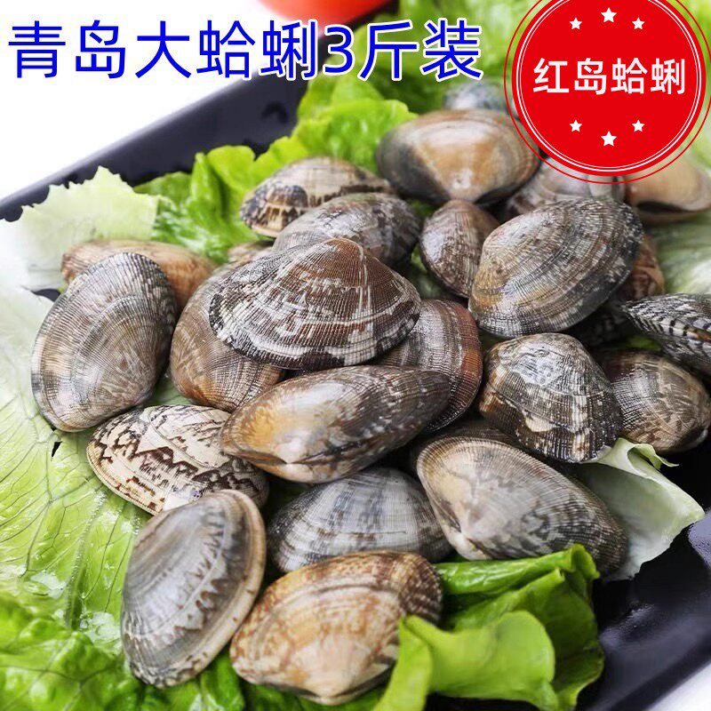 鲜活大蛤蜊青岛特产红岛花蛤蜊贝类海鲜新鲜花甲无沙3斤装