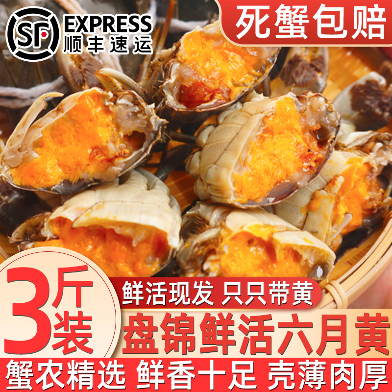 盘锦六月黄公蟹鲜活净重无绳
