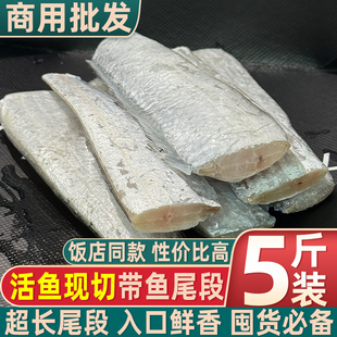 新鲜带鱼中尾段饭店商用带鱼尾巴段无冰刀鱼无肚子段带鱼小带鱼
