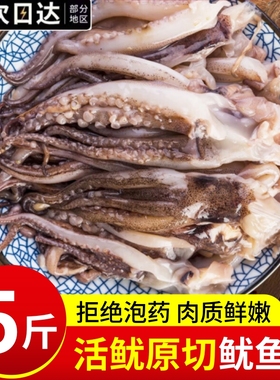 新鲜鱿鱼须鲜活冷冻二本足章鱼生鲜尤鱼铁板鱿鱼串腿海鲜商用批发