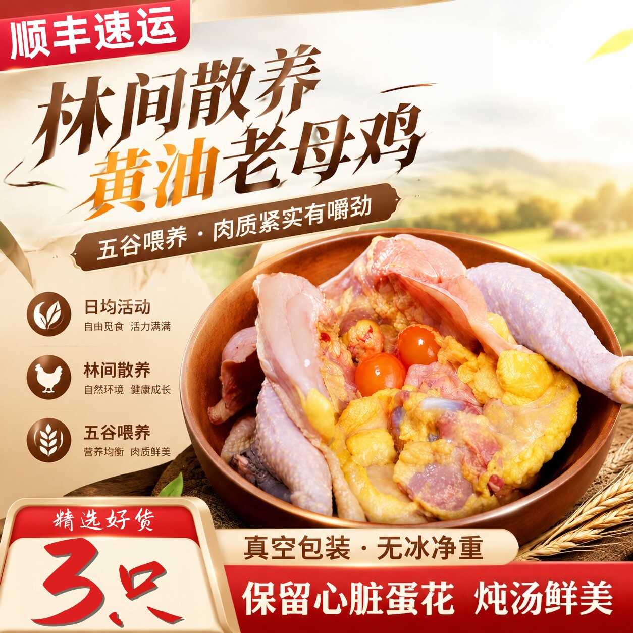 现杀冷冻黄油老母鸡顺丰