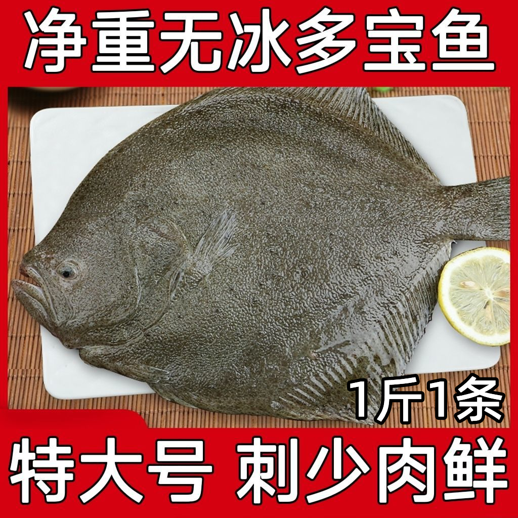 多宝鱼鲜活超大比目鱼冷冻偏口鱼新鲜速冻八宝鱼扁口鱼海鲜水产