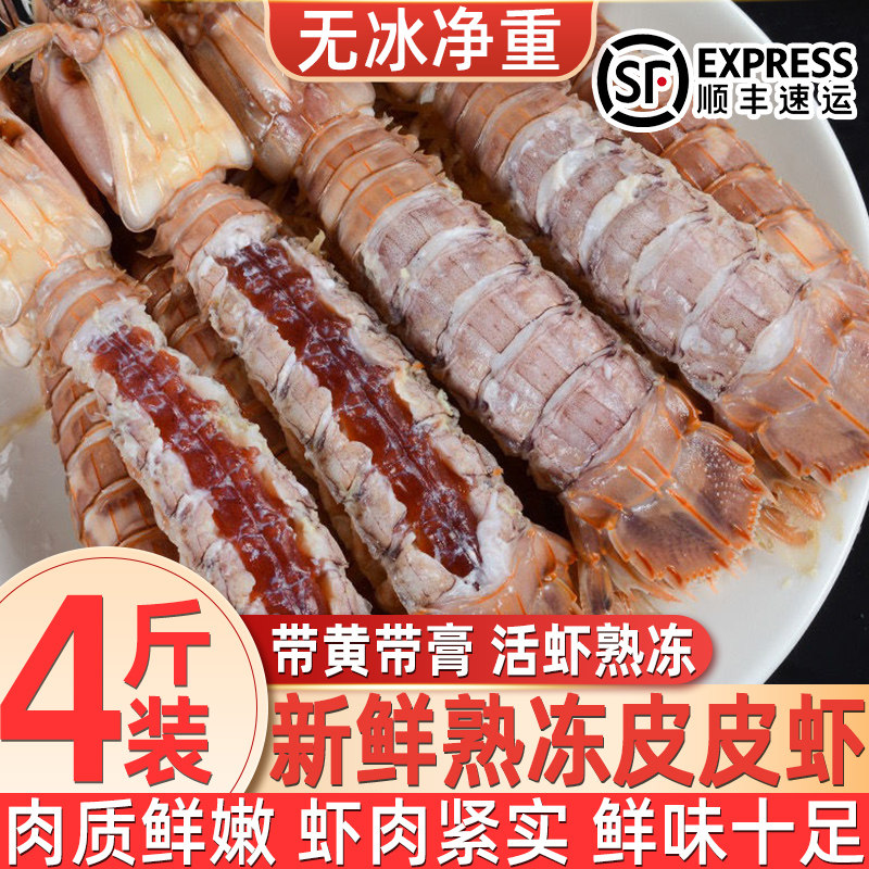 鲜活蒸熟速冻皮皮虾熟冻虾姑富贵虾特大虾爬子懒尿虾海鲜水产批发