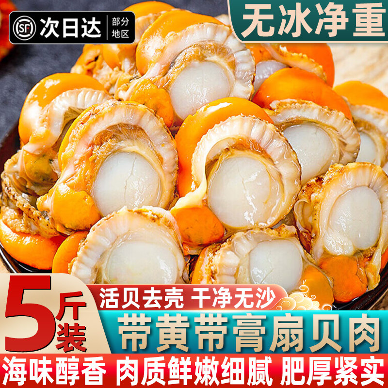 现剥冷冻野生特大扇贝肉整箱