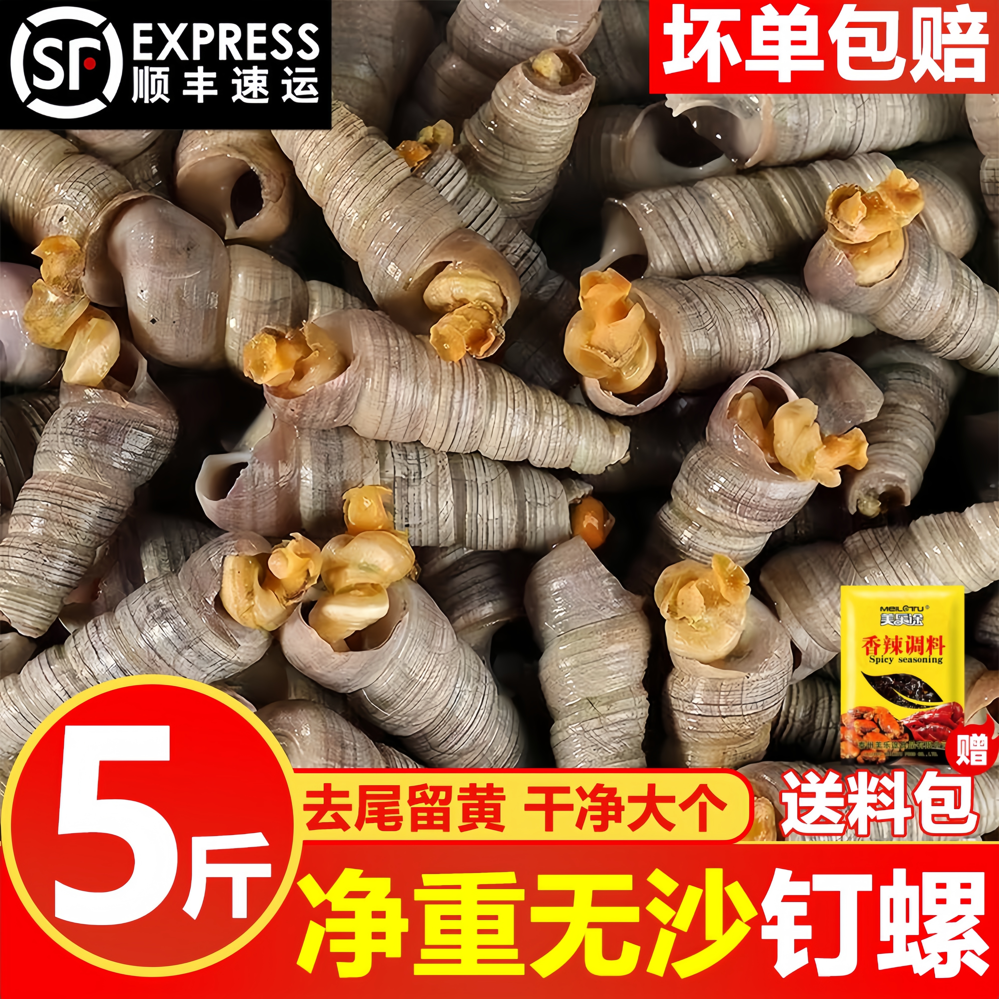 钉螺鲜活去尾留黄大号锥螺无沙新鲜海螺丝捞汁小海鲜麻辣包邮商用