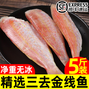 新鲜去头金线鱼新鲜速冻海鱼去内脏去头金线鱼肉多红杉鱼顺丰商用